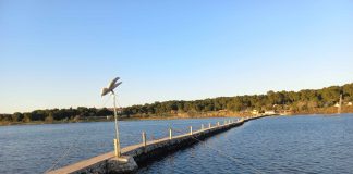 Jedinstveno lagunarno područje Šćuza zlatni je rudnik bioraznolikosti