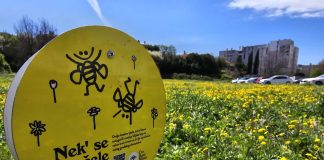 PULA: Urbane oaze za oprašivače