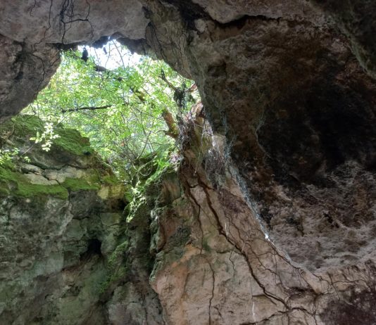 Park šuma Šijana: Najstarije arheološko nalazište u Hrvatskoj