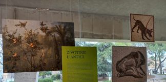 Izložba u C8: Antika krije zanimljive priče o životinjama