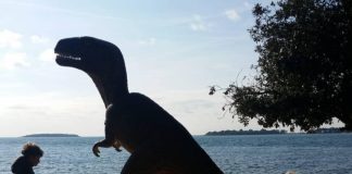 Slavi se stoljeće istraživanja dinosaura na Brijunima