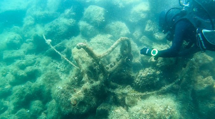 Kreću eko akcije čišćenja podmorja u zaštićenim područjima, prva u Limskom zaljevu 28. lipnja 2025.