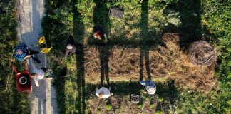 Uzgoj krumpira na travi