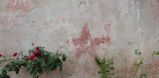 Eric Ušić: (Post)ratni grafiti posebna su baština