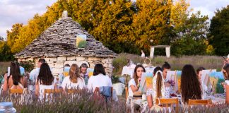 Ljubičasta Istra – 36.000 razloga za dolazak u Pekice