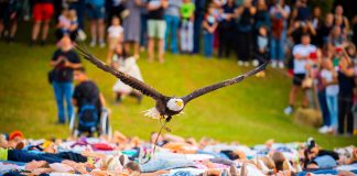 Viteški turniri, vatreni spektakli i vještičji uroci: Sve je spremno za 13. Srednjovjekovni festival u Svetvinčentu!
