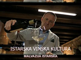 ISTARSKA VINSKA KULTURA: Malvazija istarska – kraljica bijelih vina Istre