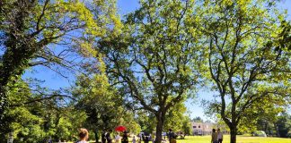 Šuma Kontija: priroda kao prostor igre i učenja