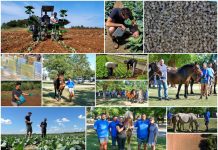 Poljoprivredna emisija Boje zemlje 26.10.2025.