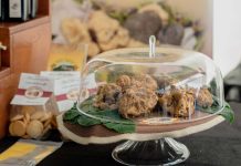 Motovun vas zove na 14. Festival terana i tartufa