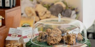 Motovun vas zove na 14. Festival terana i tartufa