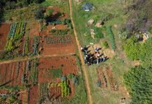 Besplatna radionica u Društvenom vrtu Gregovica: Što naš vrt radi zimi?