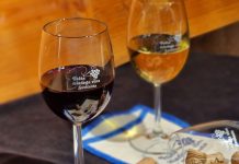 Fešta mladega vina u Savičenti