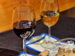 Fešta mladega vina u Savičenti