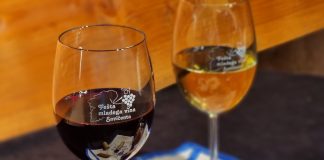 Fešta mladega vina u Savičenti