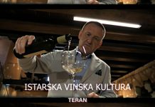 ISTARSKA VINSKA KULTURA: Teran