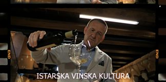 ISTARSKA VINSKA KULTURA: Teran