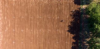 Na Institutu za poljoprivredu i turizam u Poreču održan sastanak partnera na projektu InoBioPov