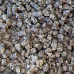 Ovčja vuna u polju: novo organsko gnojivo?