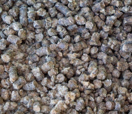 Ovčja vuna u polju: novo organsko gnojivo?