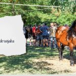 Jubilarna izložba hrvatskog hladnokrvnjaka u Vodnjanu