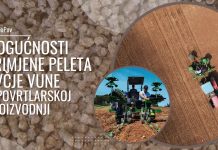 Mogućnosti primjene peleta ovčje vune u povrtlarskoj proizvodnji