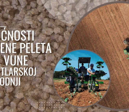 Mogućnosti primjene peleta ovčje vune u povrtlarskoj proizvodnji