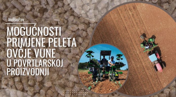 Mogućnosti primjene peleta ovčje vune u povrtlarskoj proizvodnji