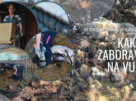 Od striže do štramci, od blaga do otpada: Kako je zaboravljena vuna?