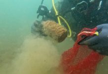 Nastavlja se projekt WASTEREDUCE: Drugi ciklus čišćenja podmorja