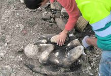 Nastavljaju se istraživanja na mjestu pronalaska „Usnulog kupida“