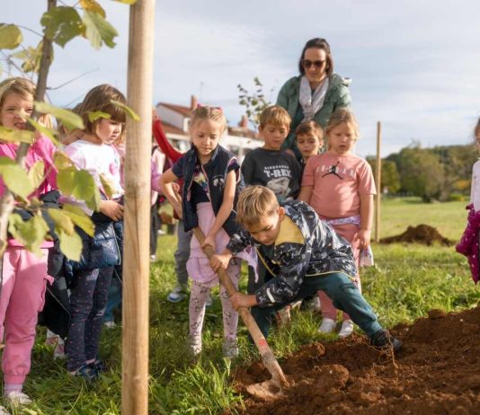 ‘Istarski duguljasti’: Od zaboravljene sorte do simbola vrsarske gastronomske revitalizacije