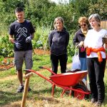 Besplatna radionica u Društvenom vrtu Gregovica: Više načina sadnje luka i češnjaka