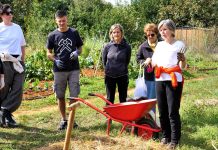 Besplatna radionica u Društvenom vrtu Gregovica: Više načina sadnje luka i češnjaka