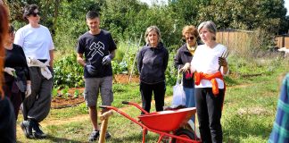 Besplatna radionica u Društvenom vrtu Gregovica: Više načina sadnje luka i češnjaka