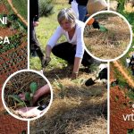 U pulskom društvenom vrtu Gregovica održana radionica o održivom vrtlarstvu