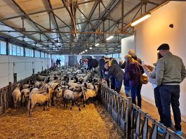 Razmjena iskustva i dobre prakse u stočarskoj proizvodnji