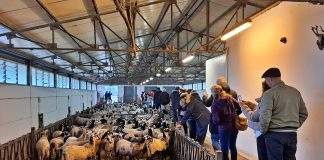 Razmjena iskustva i dobre prakse u stočarskoj proizvodnji