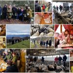 Poljoprivredna emisija Boje zemlje 7.12.2025.