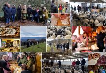 Poljoprivredna emisija Boje zemlje 7.12.2025.