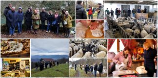 Poljoprivredna emisija Boje zemlje 7.12.2025.