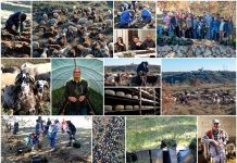 Poljoprivredna emisija Boje zemlje 14.12.2025.