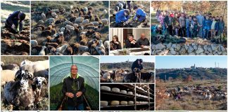 Poljoprivredna emisija Boje zemlje 14.12.2025.