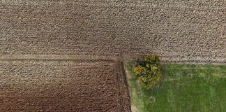 Međunarodni dan tla podsjeća na ključnu ulogu tla u očuvanju okoliša