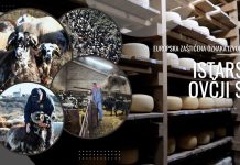 Europska oznaka izvornosti za istarski ovčji sir