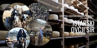 Europska oznaka izvornosti za istarski ovčji sir