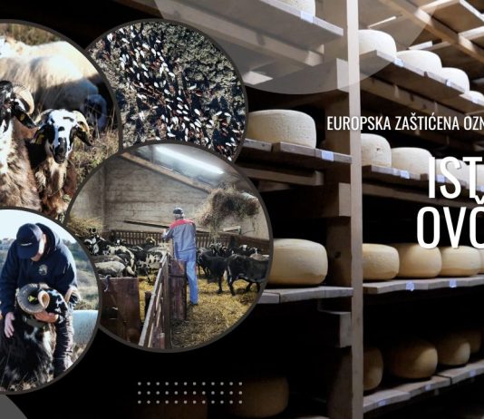 Europska oznaka izvornosti za istarski ovčji sir