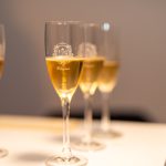 VII. Međunarodni festival pjenušaca i zvijezda: Zvijezde u čaši i na nebu u Višnjanu! VII. Međunarodni festival pjenušaca i zvijezda, FOTO: Općina Višnjan