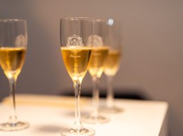 VII. Međunarodni festival pjenušaca i zvijezda: Zvijezde u čaši i na nebu u Višnjanu! VII. Međunarodni festival pjenušaca i zvijezda, FOTO: Općina Višnjan