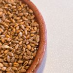 Danas slavimo svetu Lucu i sijemo pšenicu